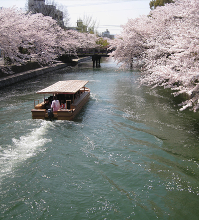 226 Hope Springs Eternal in Japan