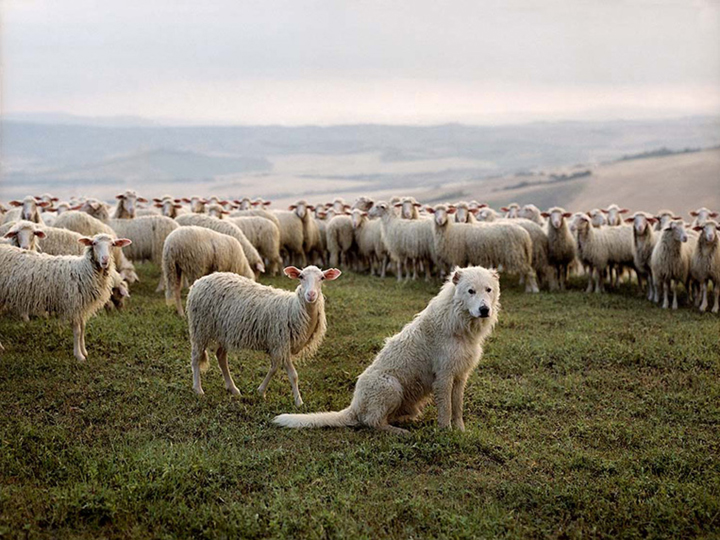 3. Rick Lew, Pienza  