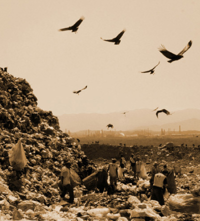 Sepia Jardim Gramacho landscape with vultures Photograph by Vik Muniz, courtesy of Vik Muniz Studio (Click to enlarge)