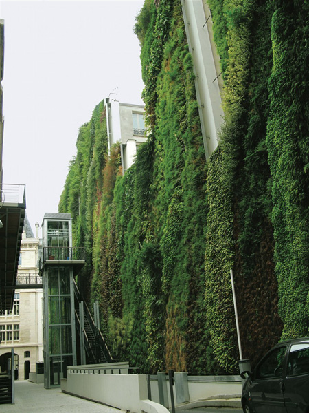 Green wall along Rue d'Alsace, Paris, France, 2008.  By Patrick Blanc.