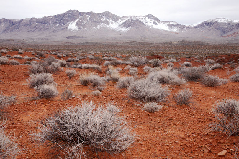 Walter Giordani: Valley of Fire