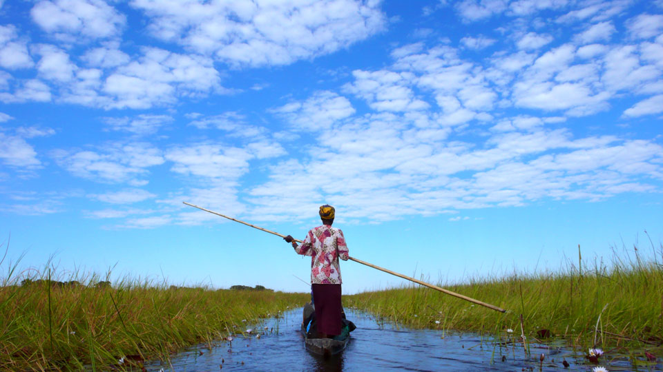 Eric Adamson: Botswana Okavango