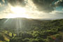 Brian Jensen: View from Monte Carmelo, Vieques