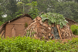 THUMB1110303111-Judi-Baker-J_Baker_Baka-Pygmy,-Times-Have-Changed_Cameroon