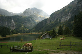 THUMB1111248690-Carol-Budd-c-budd-Lounansee-Switzerland