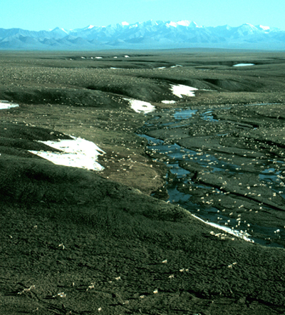 Photograph courtesy of the U.S. Fish and Wildlife Service (Click to enlarge)