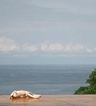 Hustle Relaxing on the Deck at Beuna Vista Surf Club