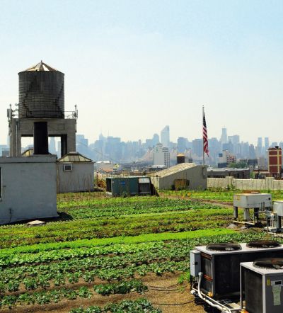 Brooklyn Grange, New York, from My Green City, Copyright: Gestalten, 2011