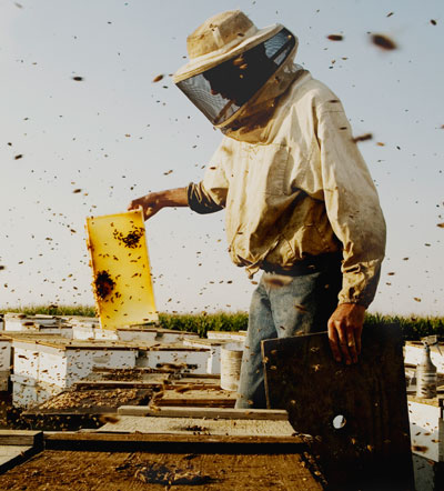 "Colony" Film Still, courtesy of Fastnet Films. 