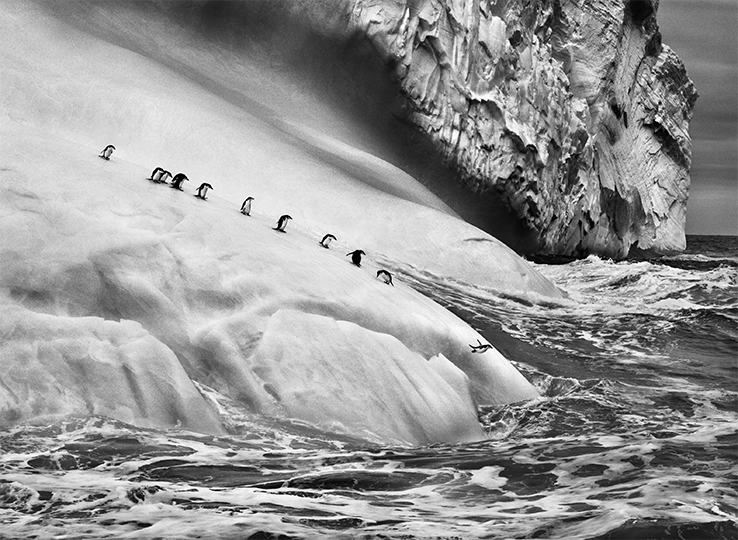 © Sebastião Salgado