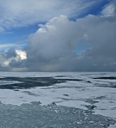 Arctic Sea Ice/NOAA