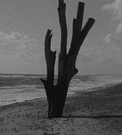 <em>Patience (After Sebald)</em> screening at Film Forum from May 9