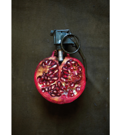 Fruit of the Boom (Granate), 2010